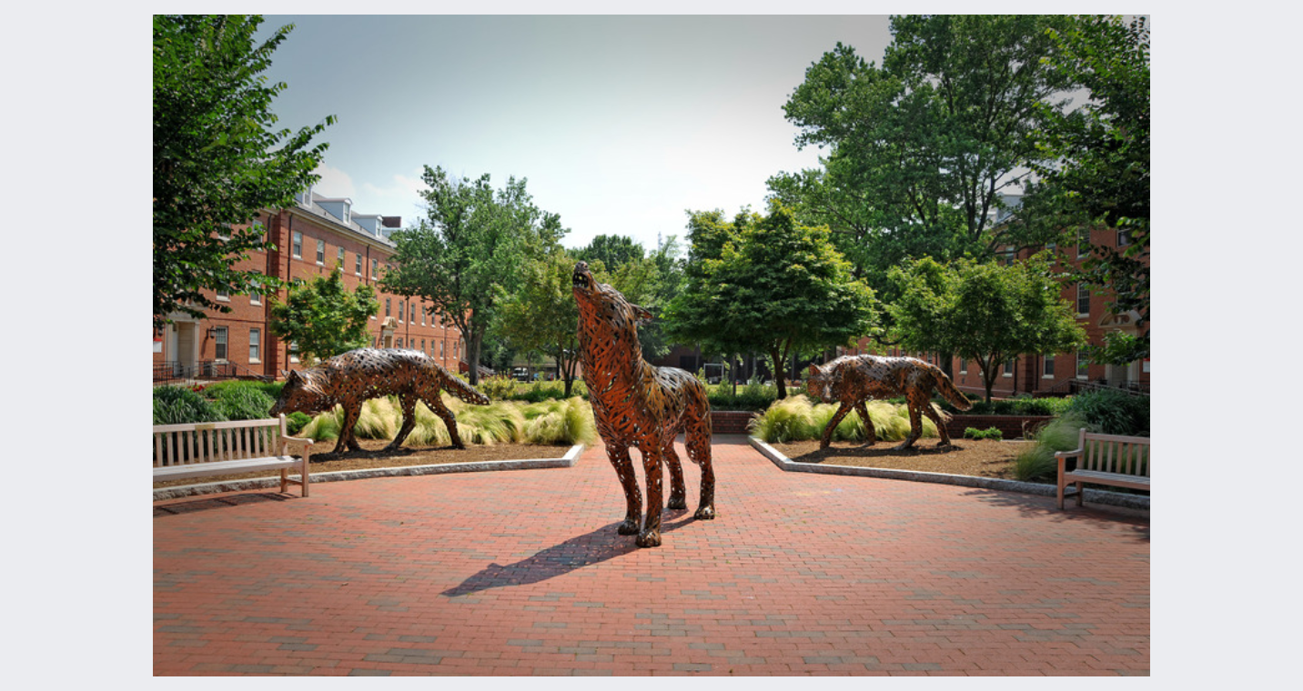 DTU Beyond Borders - North Carolina State University - University Wide